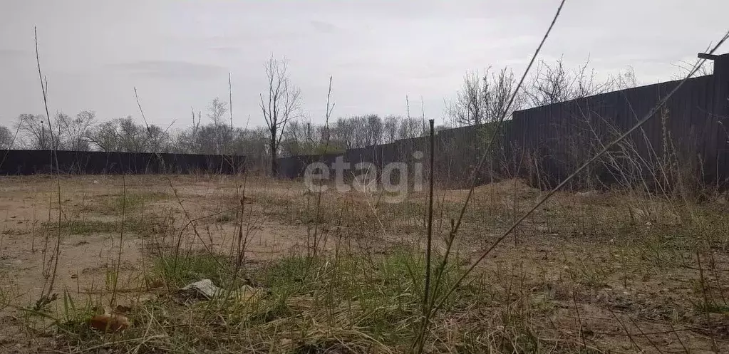 Участок в Амурская область, Благовещенск Дружба СНТ,  (13.99 сот.) - Фото 1