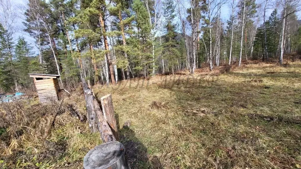 Участок в Алтай, Чемальский район, с. Аскат Солнечная ул., 11 (50.0 ... - Фото 1