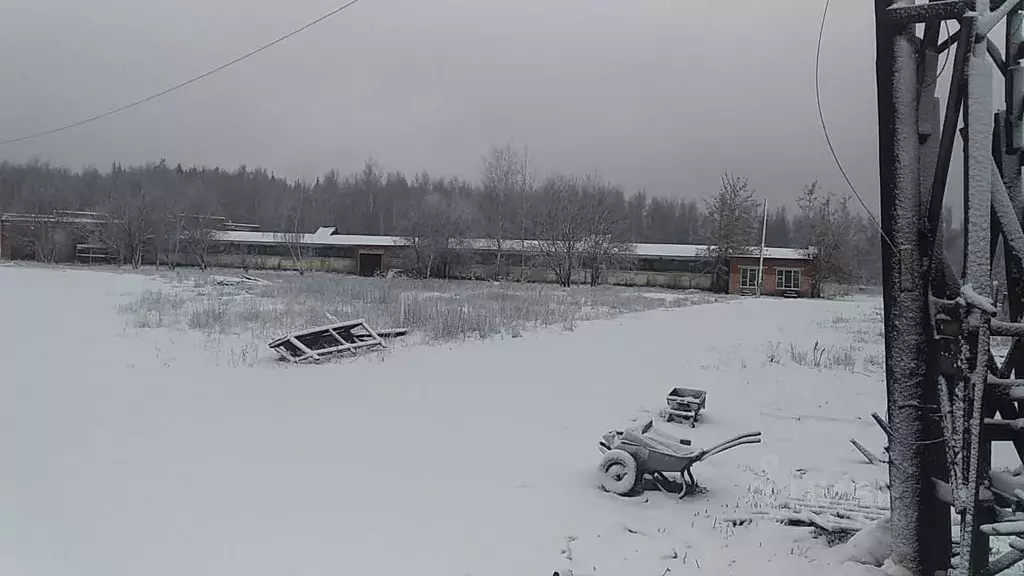 Склад в Московская область, Егорьевск городской округ, д. Семеновская  ... - Фото 0