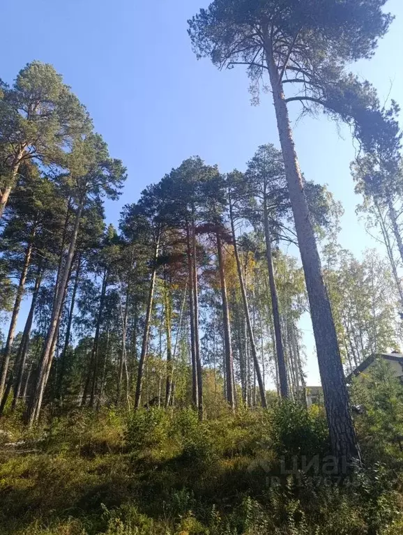 Участок в Свердловская область, Екатеринбург муниципальное ... - Фото 0