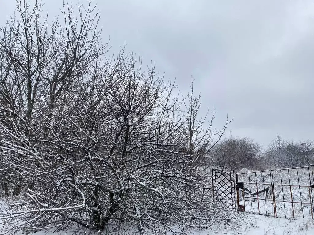 Участок в Белгородская область, Белгородский район, Дубовское с/пос, ... - Фото 1