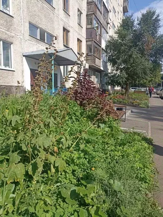 3-к кв. Кемеровская область, Кемерово Октябрьский просп., 7 (59.4 м) - Фото 0