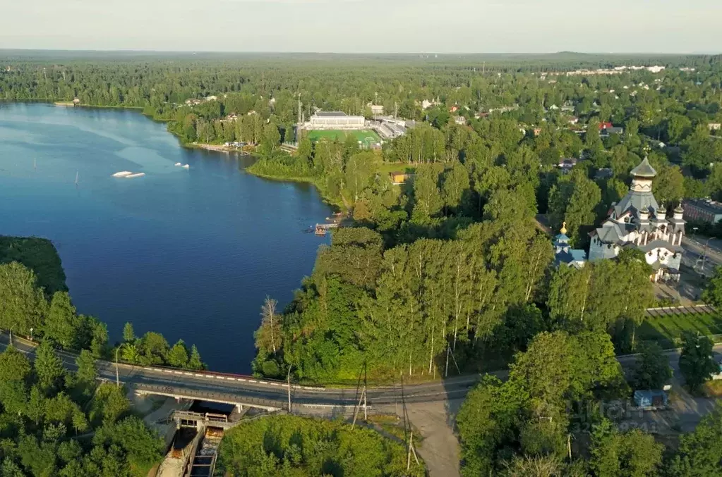 Участок в Ленинградская область, Выборгский район, Рощино пгт ул. ... - Фото 2