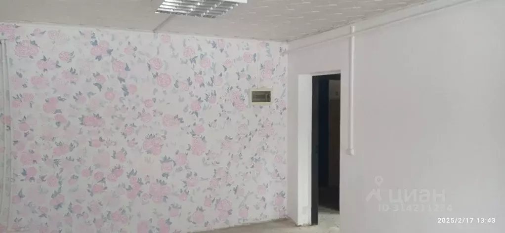 Помещение свободного назначения в Краснодарский край, Краснодар ул. ... - Фото 0