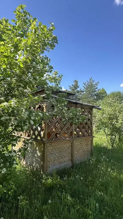 Участок 25 сот. (личное подсобное хозяйство (лпх)) - Фото 0