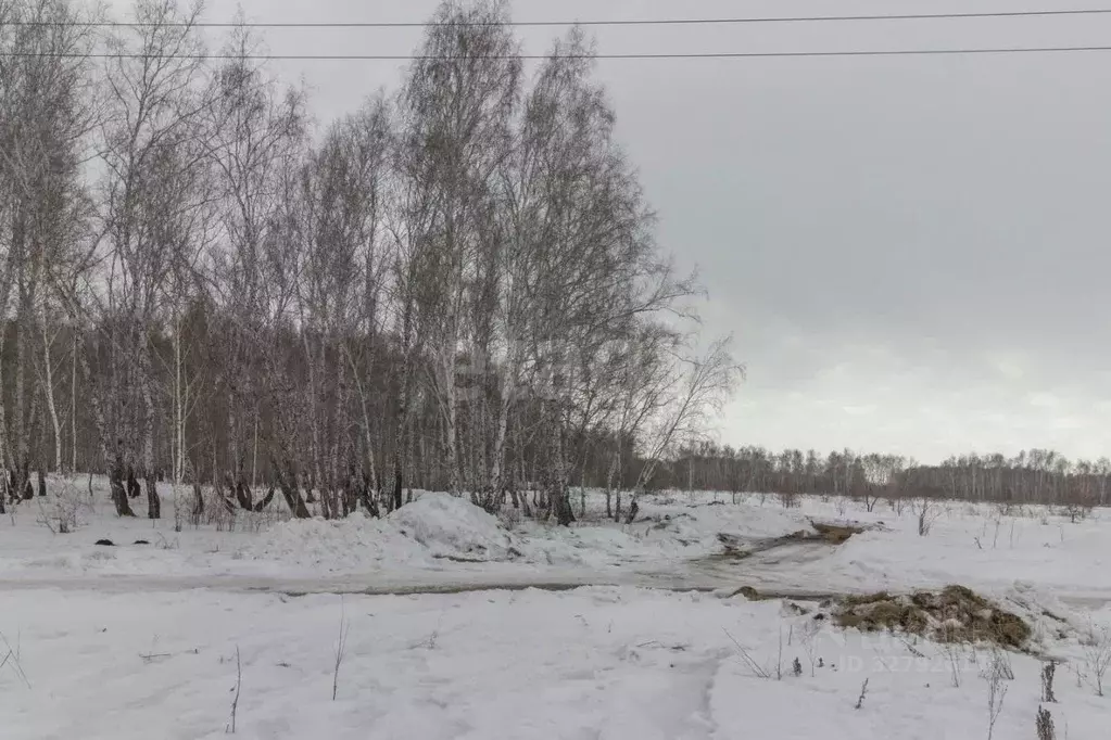 Участок в Омская область, Омск ул. Санина, 86 (8.58 сот.) - Фото 1