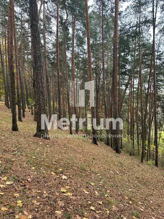 Продается участок в пос. Архангельское - Фото 1