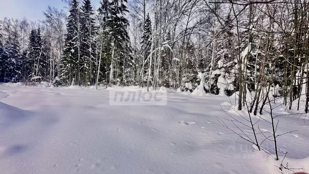 Участок в Московская область, Истра муниципальный округ, д. Сысоево  ... - Фото 1
