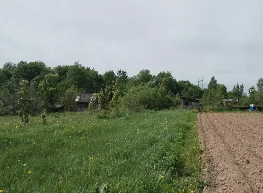 Участок в Московская область, Дмитровский муниципальный округ, д. ... - Фото 0