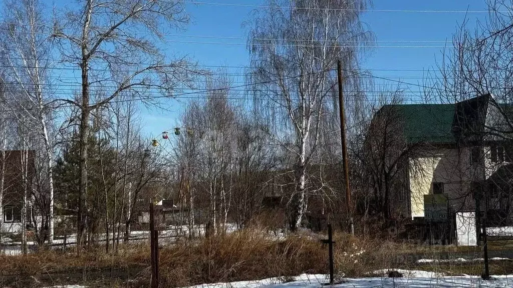 Участок в Алтайский край, Алтайский район, Айский сельсовет, с. Ая  ... - Фото 0