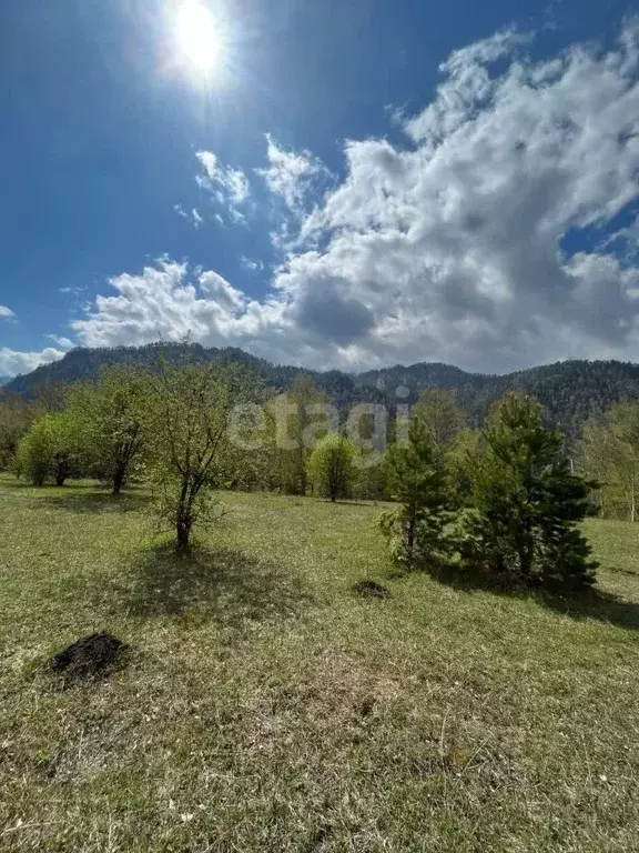 Участок в Алтай, Чемальский район, с. Узнезя  (11.2 сот.) - Фото 1