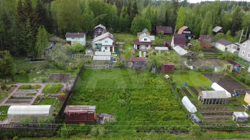 Участок 6 сот. (СНТ, ДНП) - Фото 0