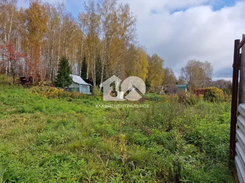 Участок, 13.2 сот., сельхоз (снт или днп) - Фото 0