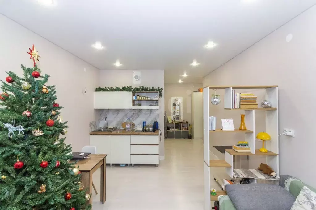 Студия Тюменская область, Тюмень ул. Василия Малкова, 12 (27.4 м) - Фото 0