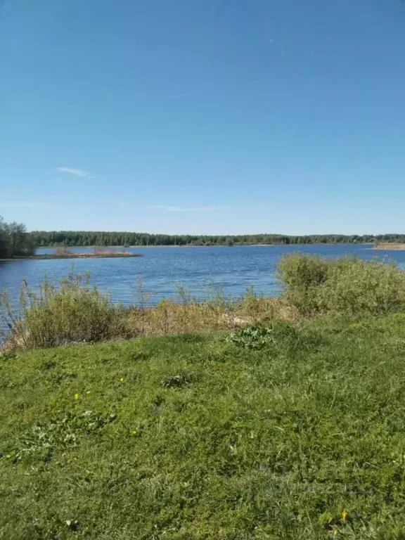 Участок в Ярославская область, Мышкинский муниципальный округ, д. ... - Фото 1