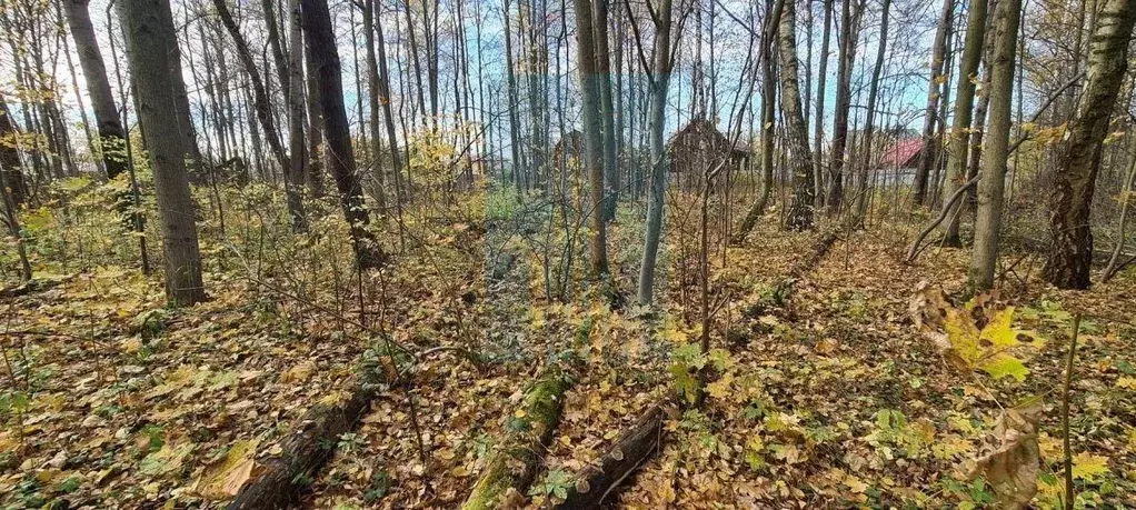 Участок, 12.5 сот., 0 - Фото 1