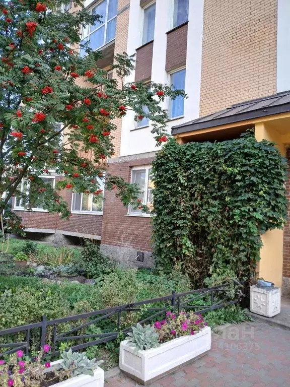 1-к кв. Санкт-Петербург 1-я Утиная ул., 28 (48.6 м) - Фото 1