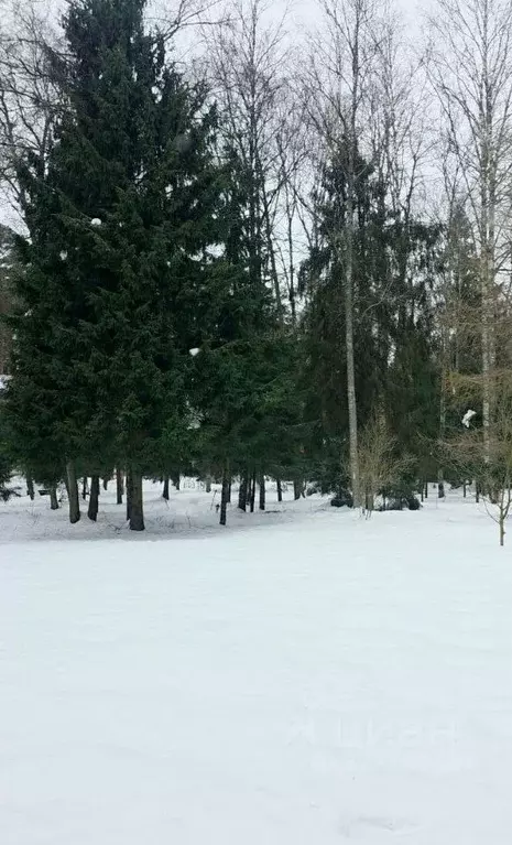 Участок в Московская область, Одинцовский городской округ, пос. ... - Фото 2