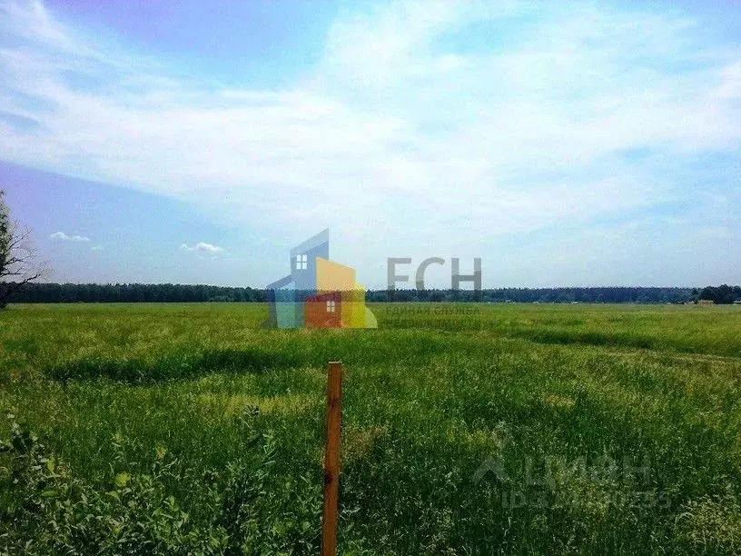 Участок в Тульская область, Новогуровский рп  (279.0 сот.) - Фото 0