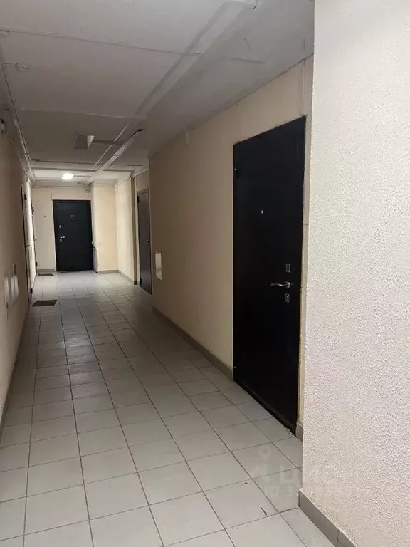 Студия Пермский край, Пермь ул. Решетникова, 24 (38.6 м) - Фото 2
