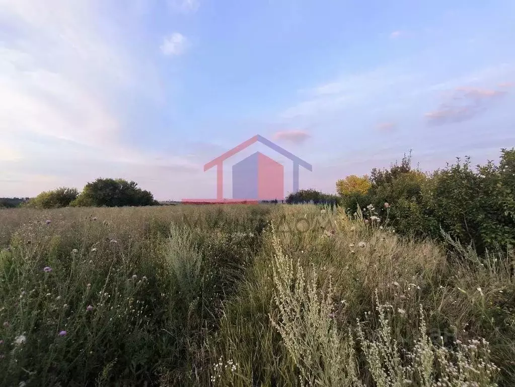 Участок в Белгородская область, Губкинский городской округ, с. ... - Фото 2