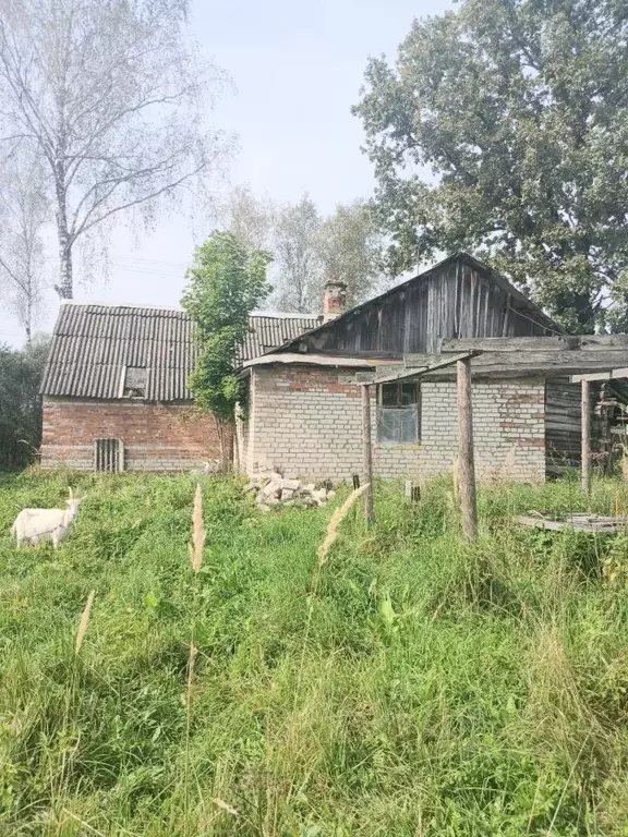 Дом в Смоленская область, Краснинский муниципальный округ, д. Гусино  ... - Фото 0