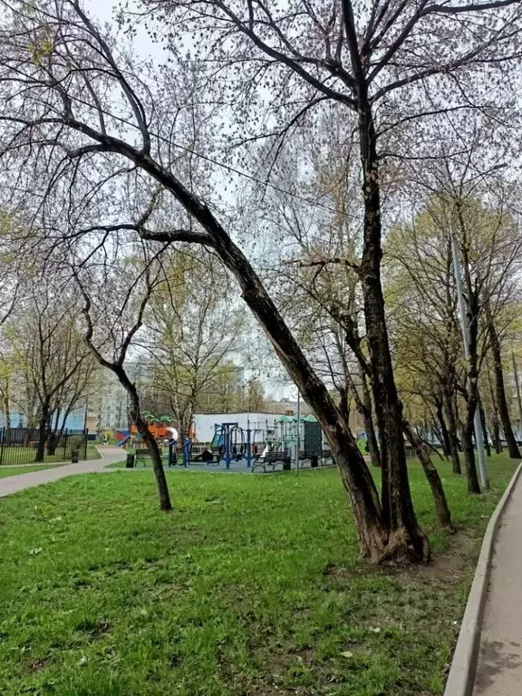 1-к кв. Москва Донецкая ул., 19 (38.0 м) - Фото 2