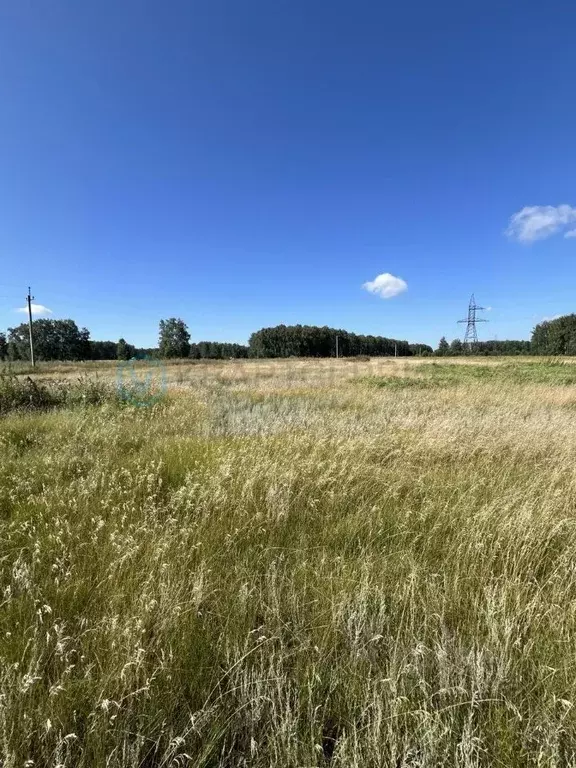 Участок в Омская область, Омский район муниципальный округ, д. ... - Фото 2