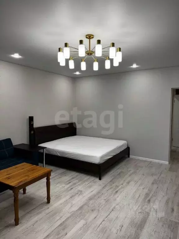 1-к кв. Татарстан, Казань Гвардейская ул., 31/42 (66.0 м) - Фото 1