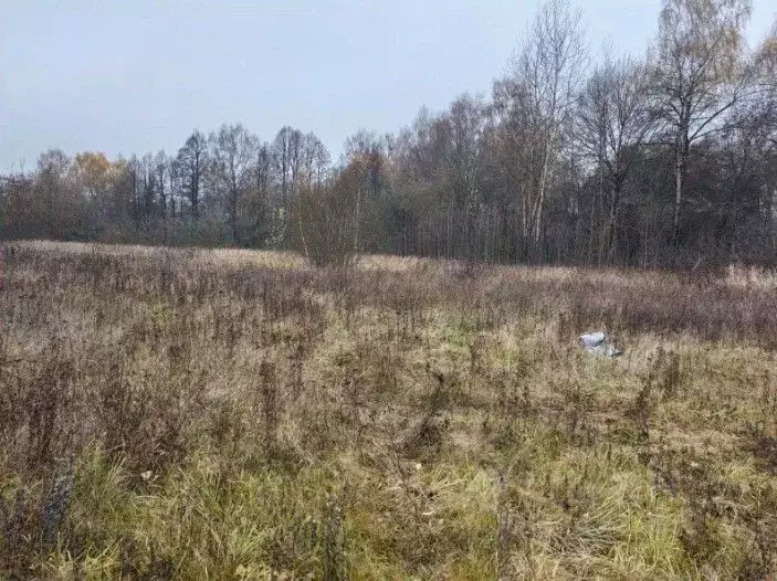 Участок в Московская область, Ступино городской округ, с. Березнецово  ... - Фото 1