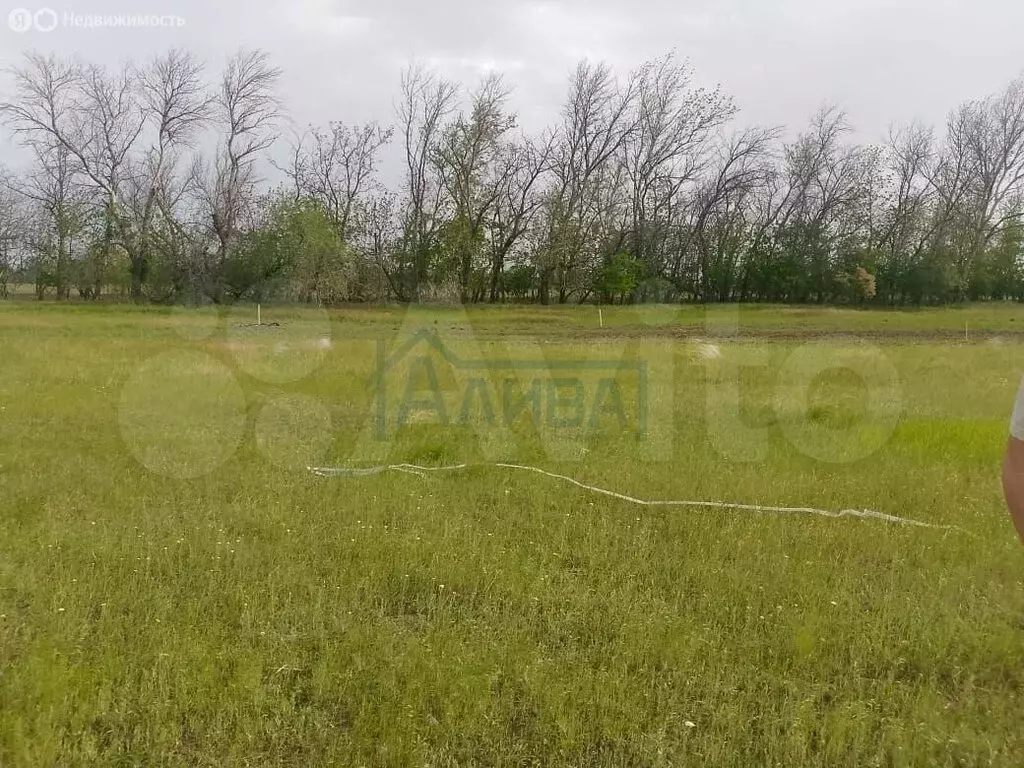 Участок в Персиановский, улица Дружбы (8 м) - Фото 2