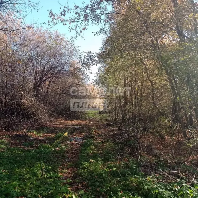 Участок в Свердловская область, Белоярский муниципальный округ, д. ... - Фото 2