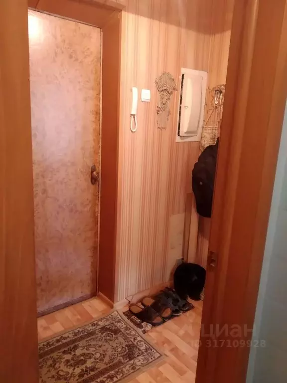 2-к кв. Новосибирская область, Новосибирск Академгородок мкр, ул. ... - Фото 0