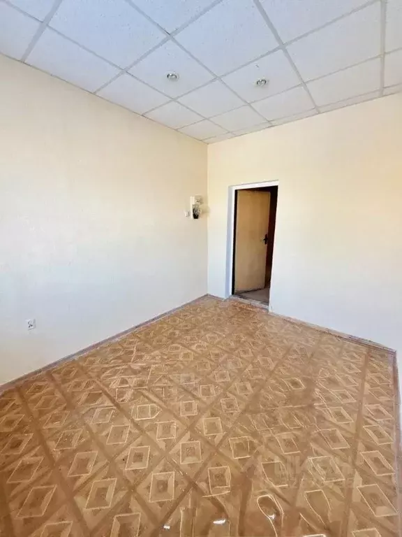 Офис в Калининградская область, Калининград ул. Александра Суворова, ... - Фото 2