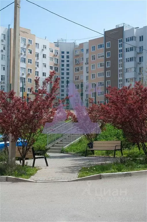 1-к кв. Севастополь ул. Тараса Шевченко, 49к1 (42.28 м) - Фото 1