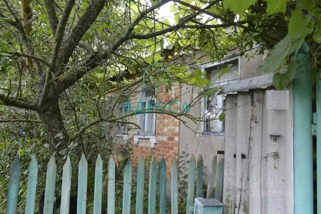 Дом в Белгородская область, Новооскольский муниципальный округ, с. ... - Фото 2
