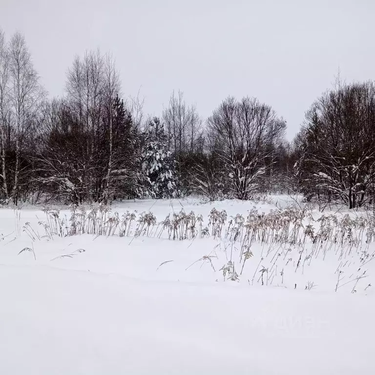 Участок в Московская область, Егорьевск муниципальный округ, д. ... - Фото 2