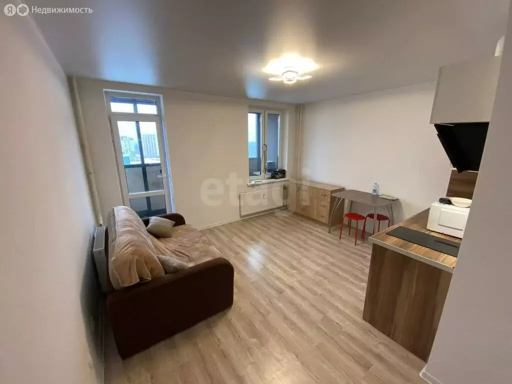 Квартира-студия: деревня Новое Девяткино, Главная улица, 12 (24.4 м) - Фото 1