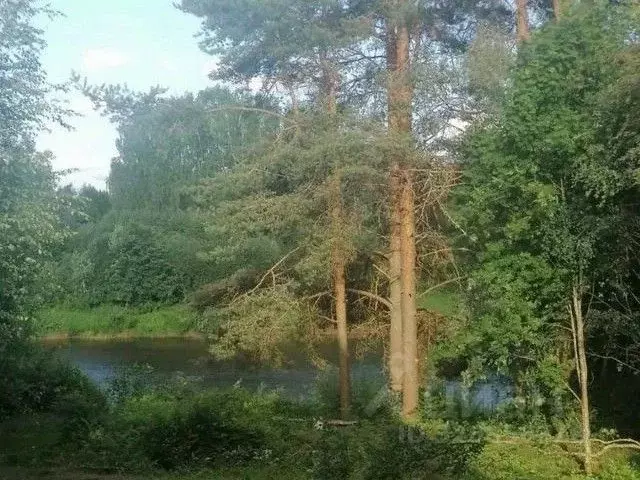 Участок в Ленинградская область, Тихвинский район, Горское с/пос, д. ... - Фото 1