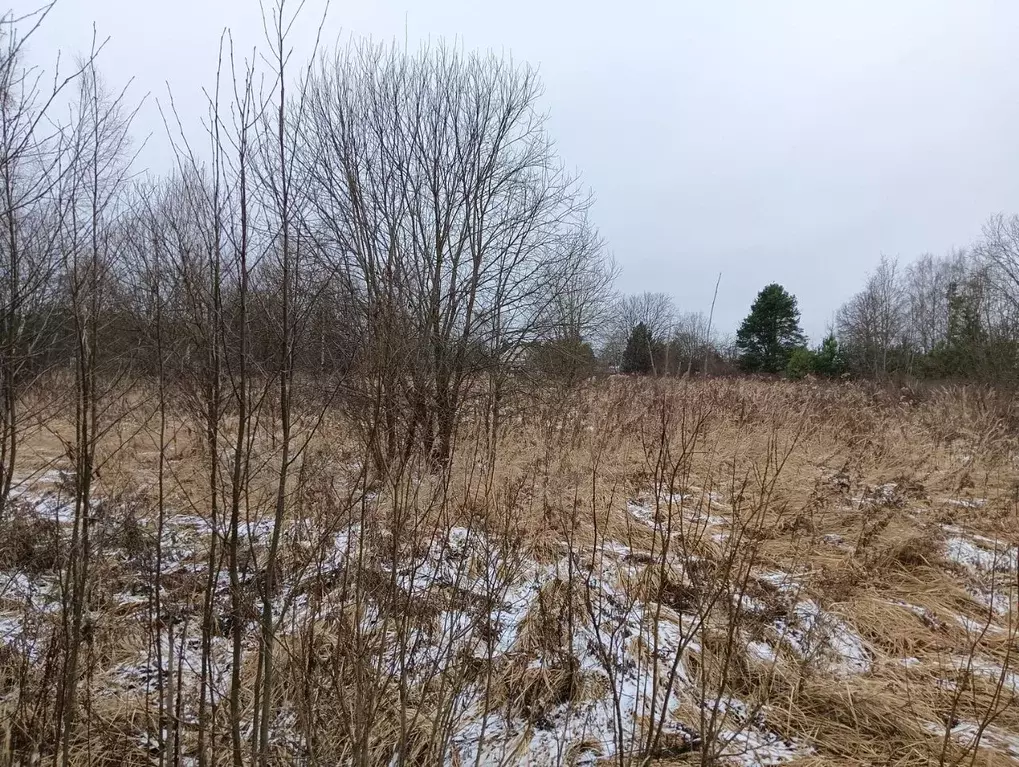 Участок в Московская область, Клин городской округ, д. Пупцево  (19.97 ... - Фото 0