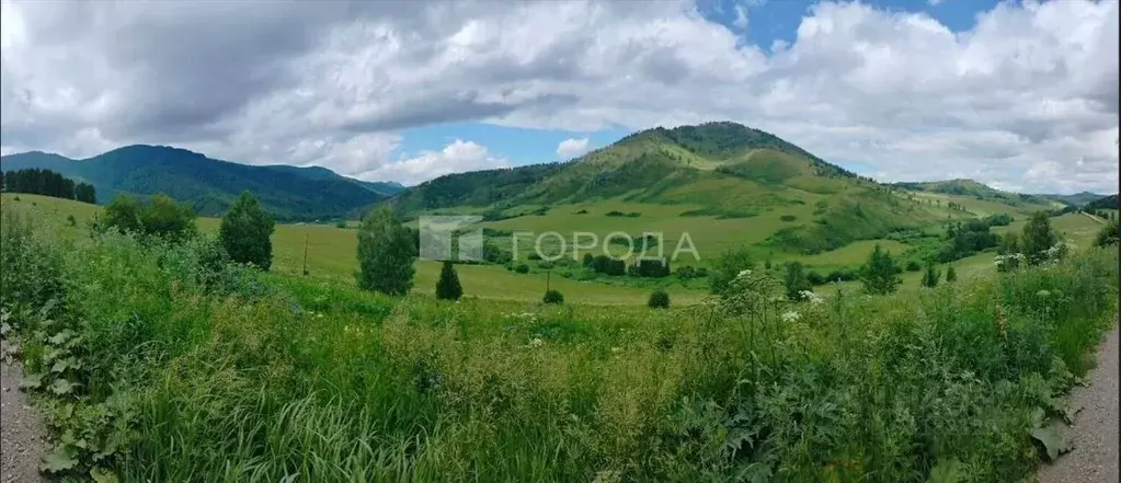 Участок в Алтайский край, Алтайский район, с. Тоурак Пролетарская ул., ... - Фото 1
