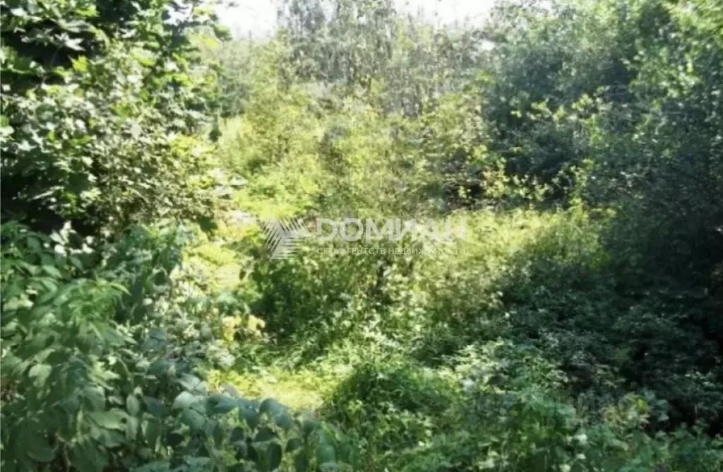 Участок в Ростовская область, Новочеркасск № 12 садовое товарищество, ... - Фото 0