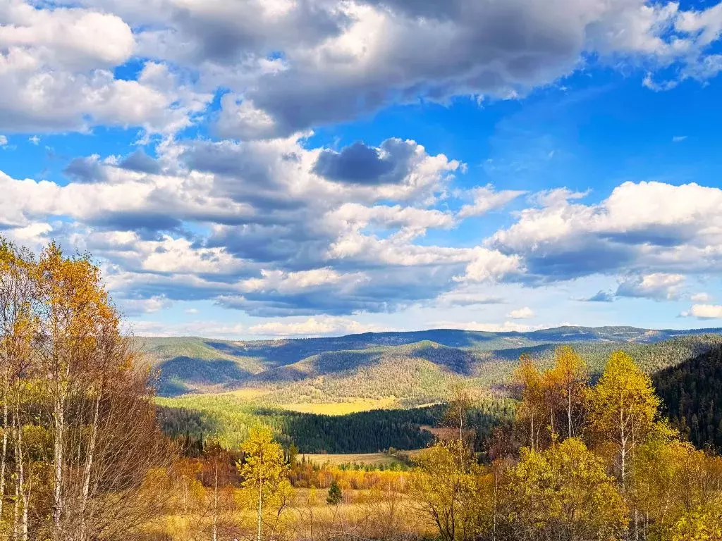 Участок в Алтай, Майминский район, Манжерокское с/пос  (19.99 сот.) - Фото 1