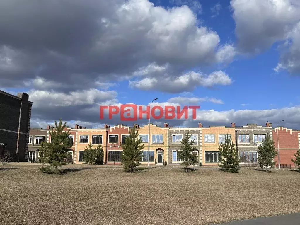 2-к кв. Новосибирская область, Новосибирский район, Мичуринский ... - Фото 0
