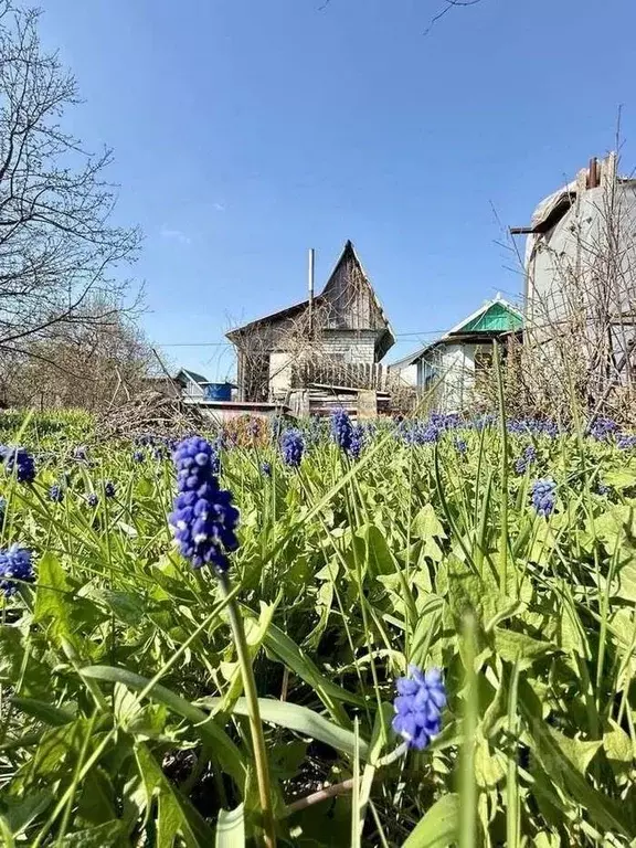 Дом в Белгородская область, Старооскольский городской округ, с. ... - Фото 0