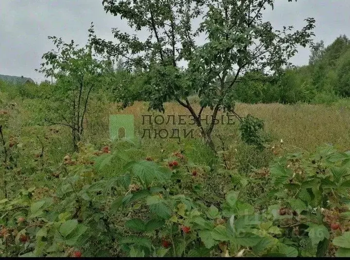 участок в удмуртия, завьяловский район, д. новое мартьяново дачная . - Фото 0