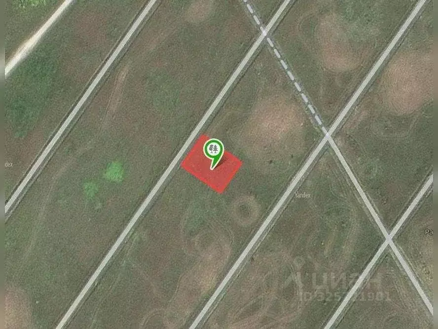 Участок в Московская область, Можайский муниципальный округ, д. ... - Фото 2