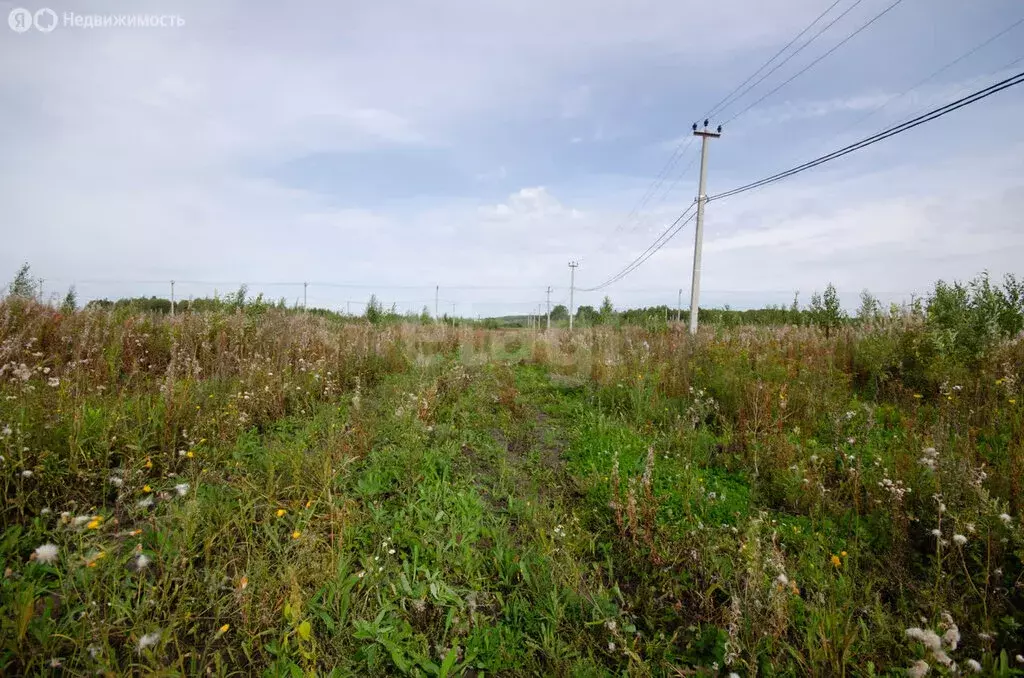 Участок в Заводоуковск, Семейная улица (10 м) - Фото 2