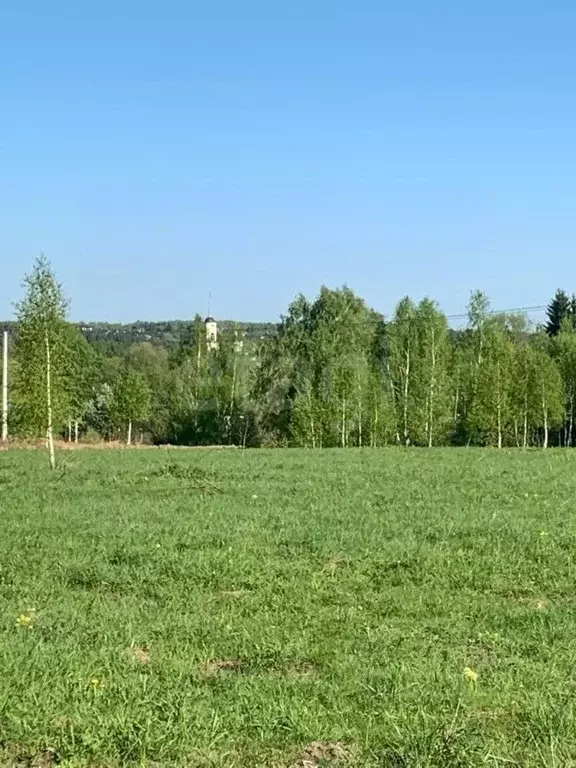 Участок в Тульская область, Алексин городской округ, с. Бунырево ул. ... - Фото 1