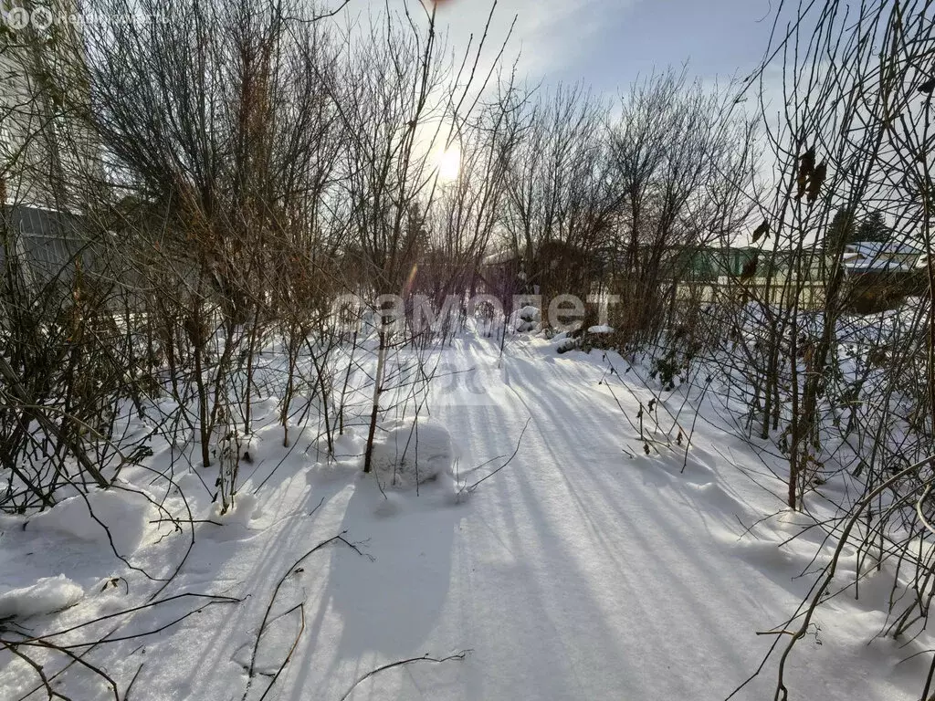 Участок в Новосибирск, садовое товарищество Новый Мир (4 м) - Фото 1